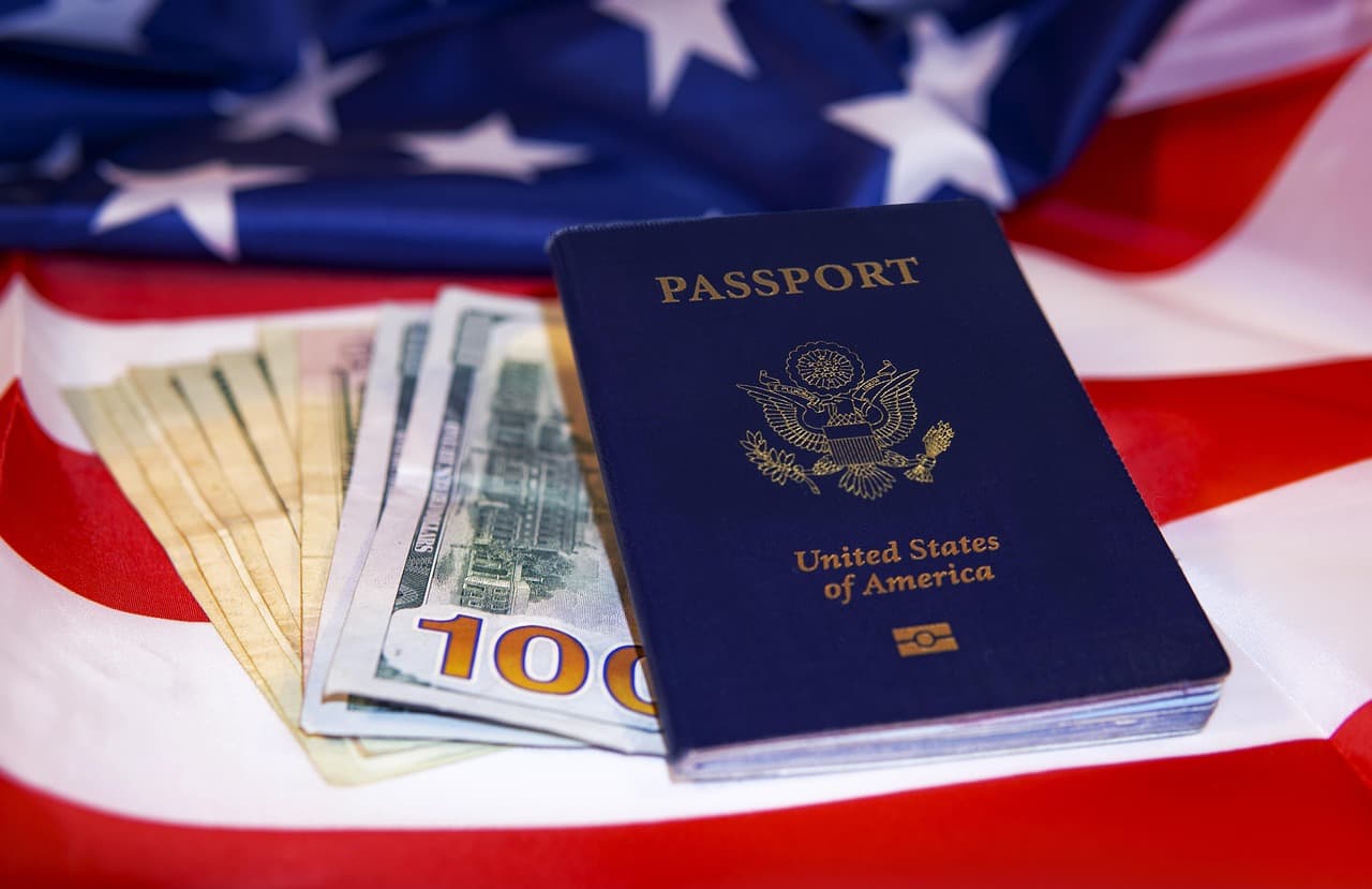Indian Embassy & Visa Services - Professional Services